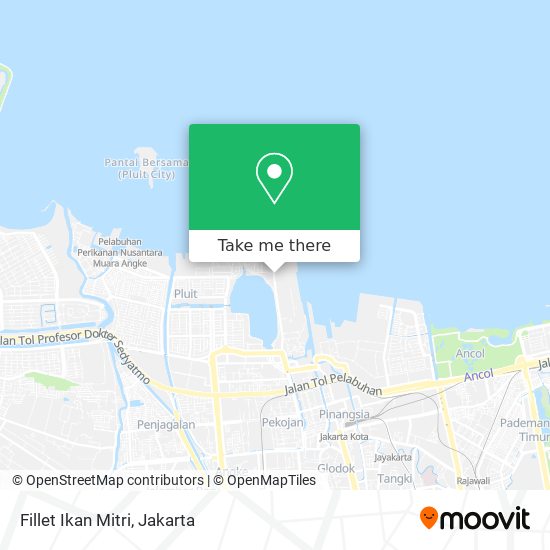 Fillet Ikan Mitri map