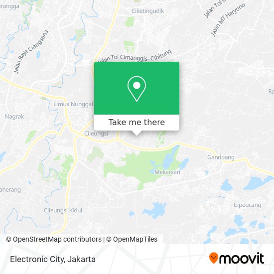 Electronic City map