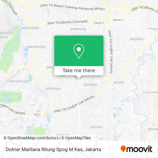 Dokter Marliana Ritung Spog M Kes map