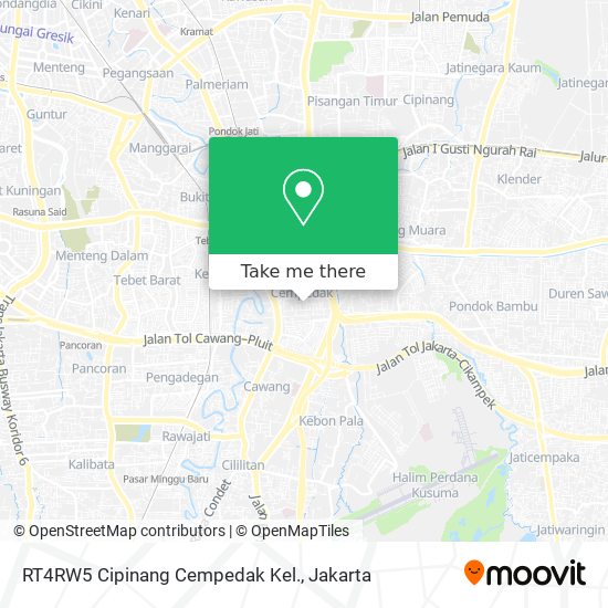 RT4RW5 Cipinang Cempedak Kel. map