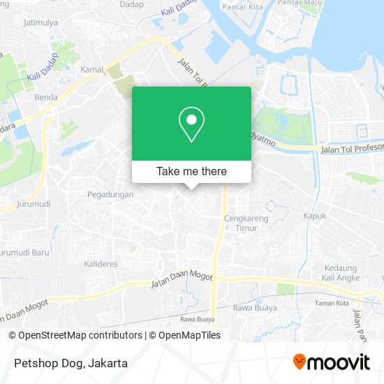 Petshop Dog map