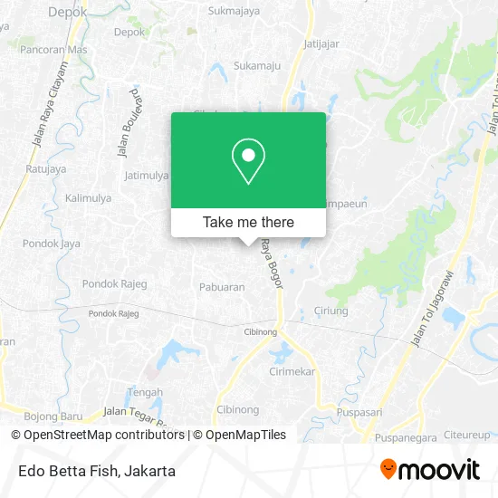 Edo Betta Fish map