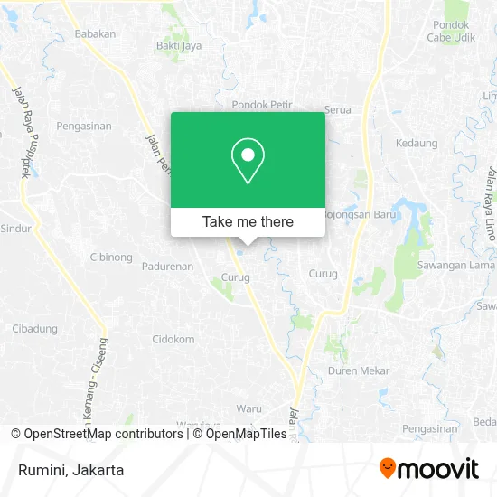 Rumini map