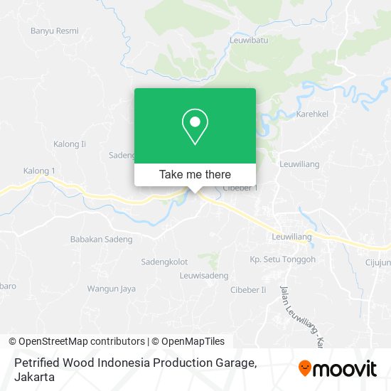 Petrified Wood Indonesia Production Garage map