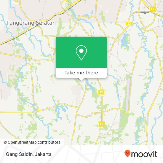 Gang Saidin map