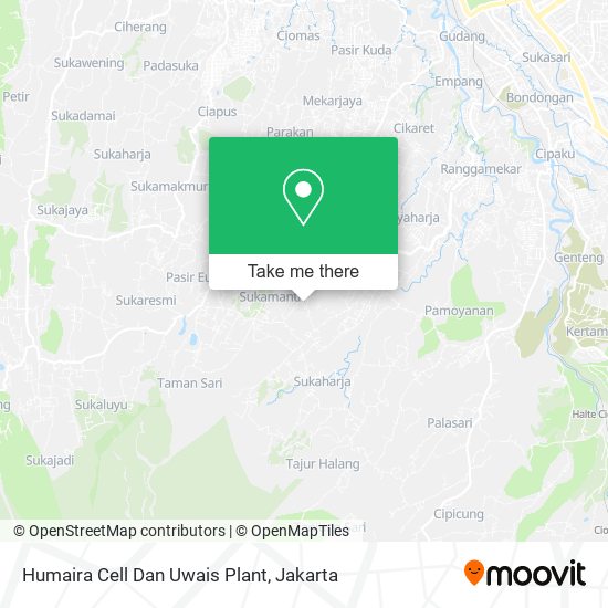 Humaira Cell Dan Uwais Plant map