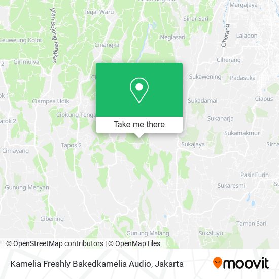 Kamelia Freshly Bakedkamelia Audio map