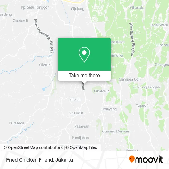 Fried Chicken Friend map
