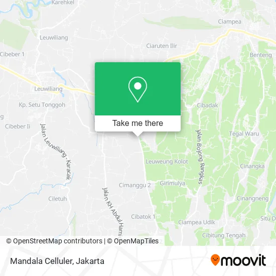 Mandala Celluler map