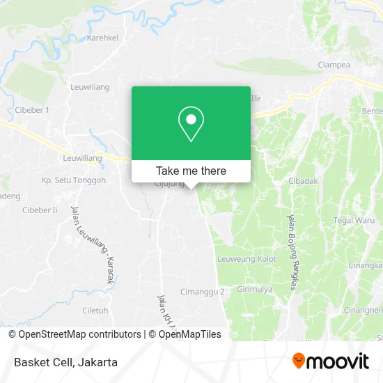 Basket Cell map