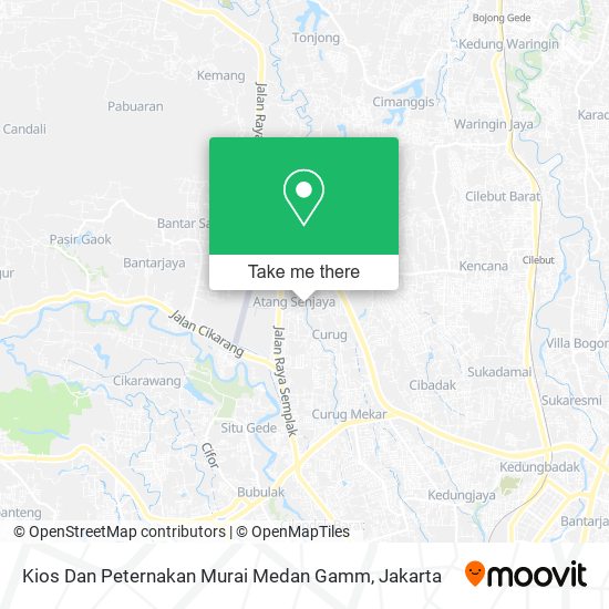 Kios Dan Peternakan Murai Medan Gamm map