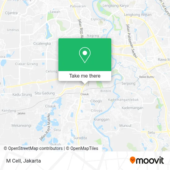 M Cell map