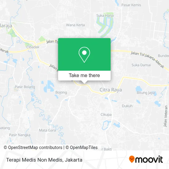 Terapi Medis Non Medis map