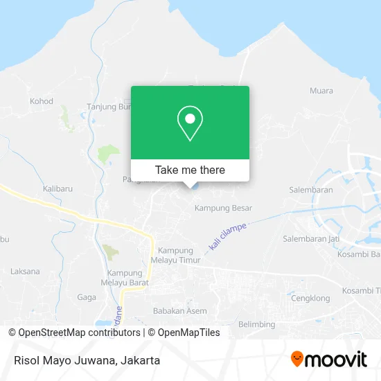 Risol Mayo Juwana map