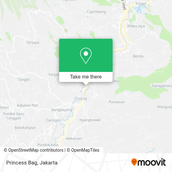 Princess Bag map
