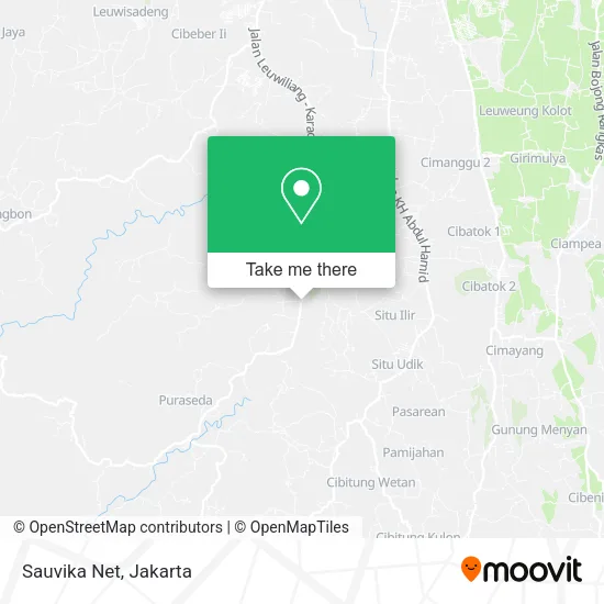 Sauvika Net map