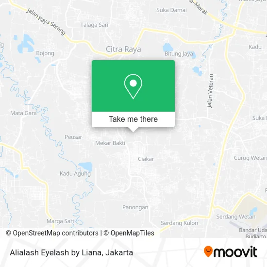 Alialash Eyelash by Liana map