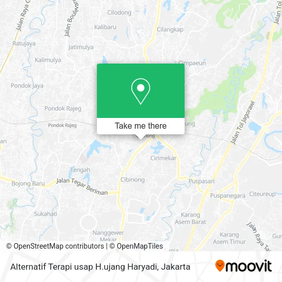 Alternatif Terapi usap H.ujang Haryadi map