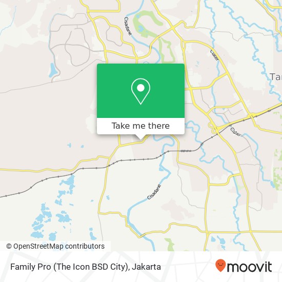 Family Pro (The Icon BSD City) map