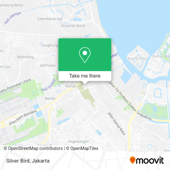 Silver Bird map
