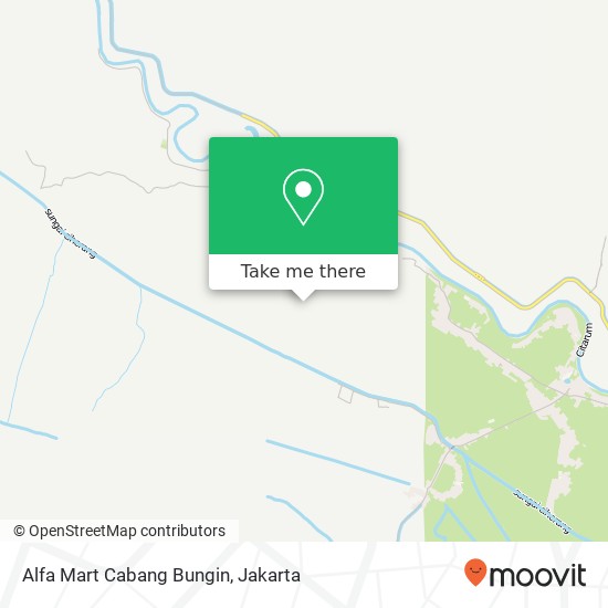 Alfa Mart Cabang Bungin map
