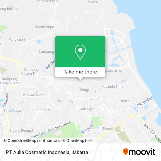 PT Aulia Cosmetic Indonesia map
