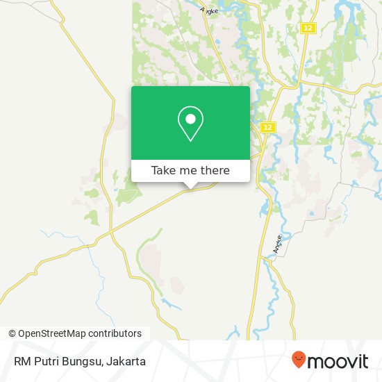 RM Putri Bungsu, Jalan H Mawi Parung Bogor 16330 map