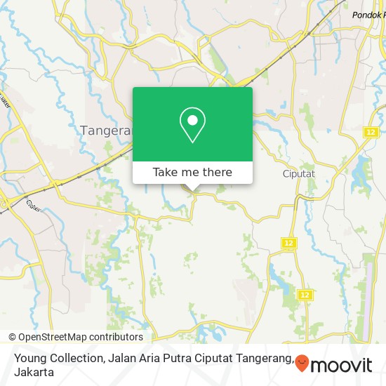 Young Collection, Jalan Aria Putra Ciputat Tangerang map