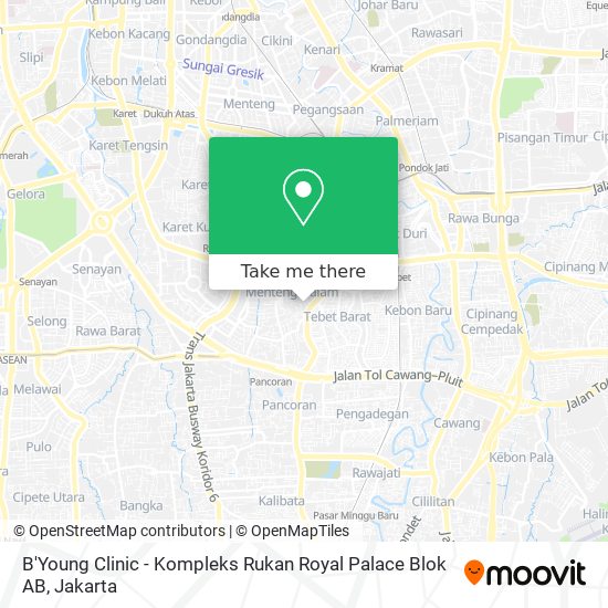 B'Young Clinic - Kompleks Rukan Royal Palace Blok AB map