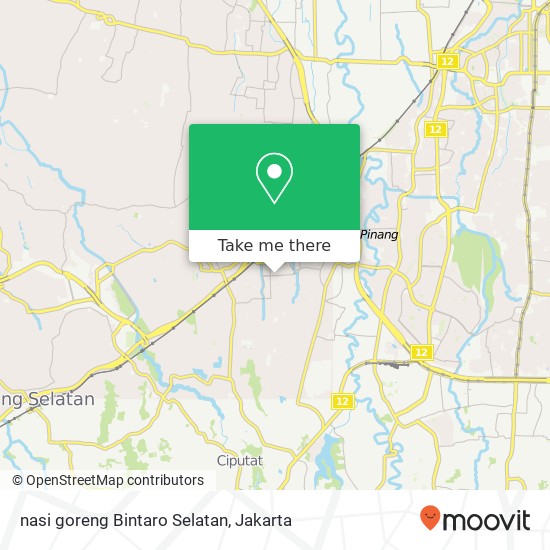 nasi goreng Bintaro Selatan map