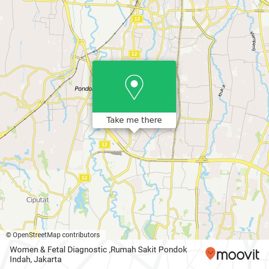 Women & Fetal Diagnostic ,Rumah Sakit Pondok Indah map