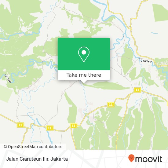 Jalan Ciaruteun Ilir map