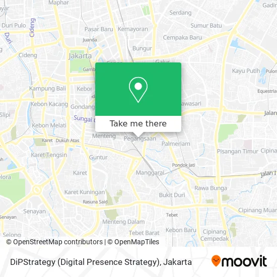 DiPStrategy (Digital Presence Strategy) map