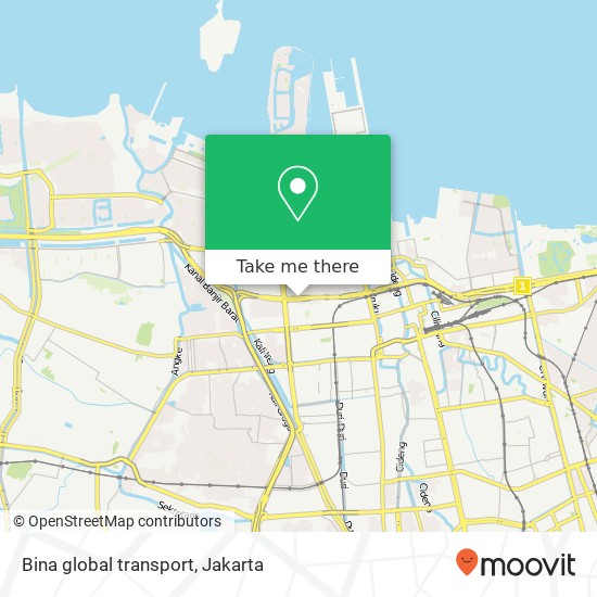 Bina global transport map