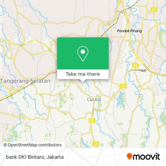 bank DKI Bintaro map