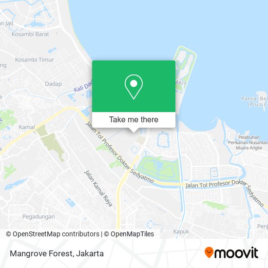 Mangrove Forest map
