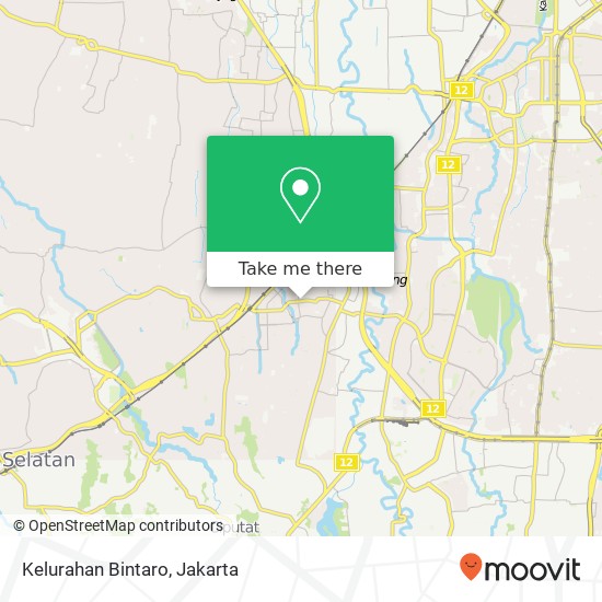 Kelurahan Bintaro map