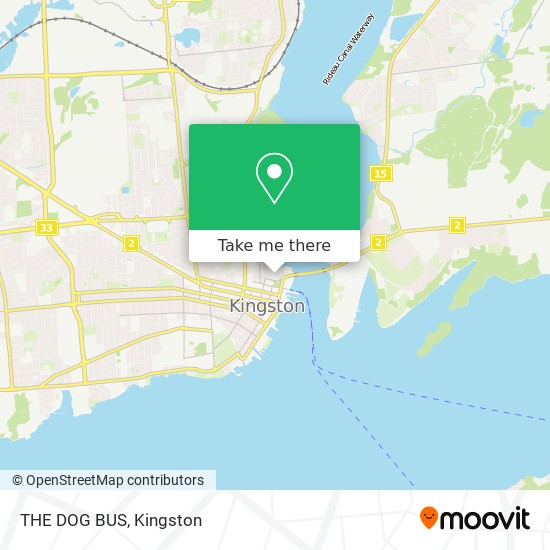 THE DOG BUS map