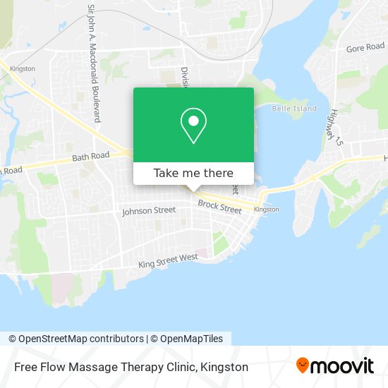 Free Flow Massage Therapy Clinic plan