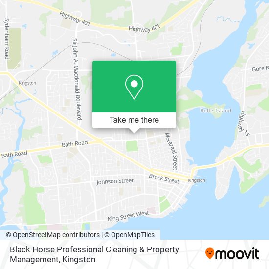 Black Horse Professional Cleaning & Property Management plan