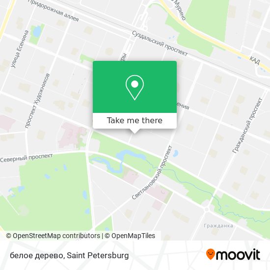 белое дерево map