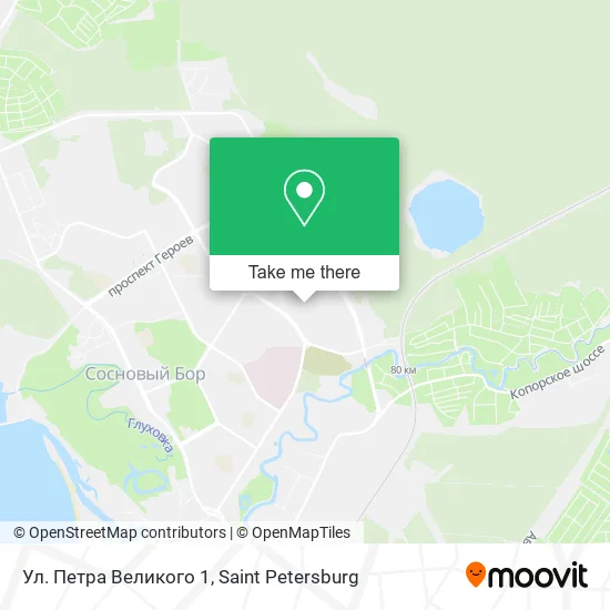 Ул. Петра Великого 1 map