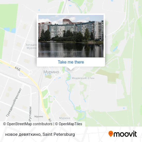 новое девяткино map