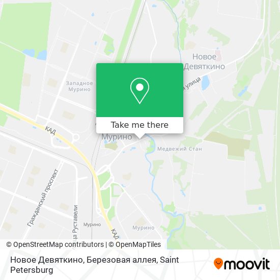 Новое Девяткино, Березовая аллея map