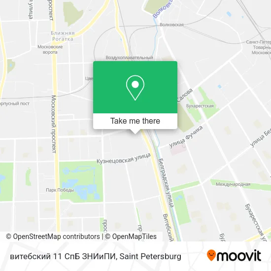 витебский 11 СпБ ЗНИиПИ map