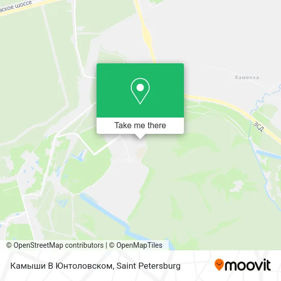 Камыши В Юнтоловском map
