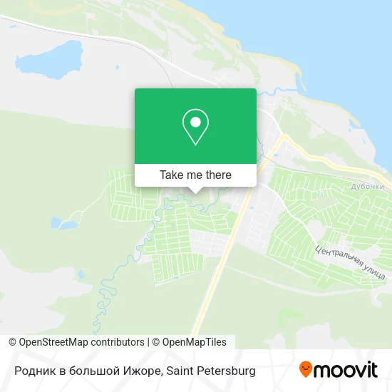 Родник в большой Ижоре map