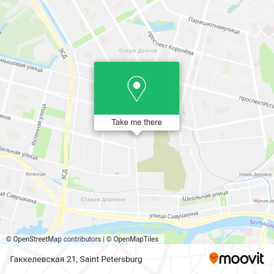 Гаккелевская 21 map