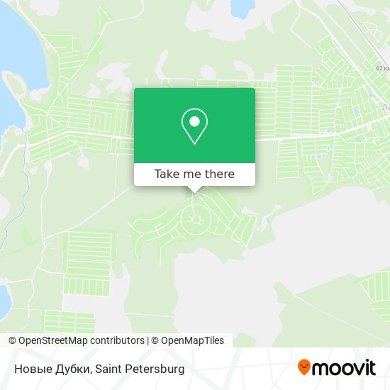 Новые Дубки map