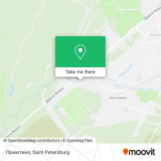 Приютино map